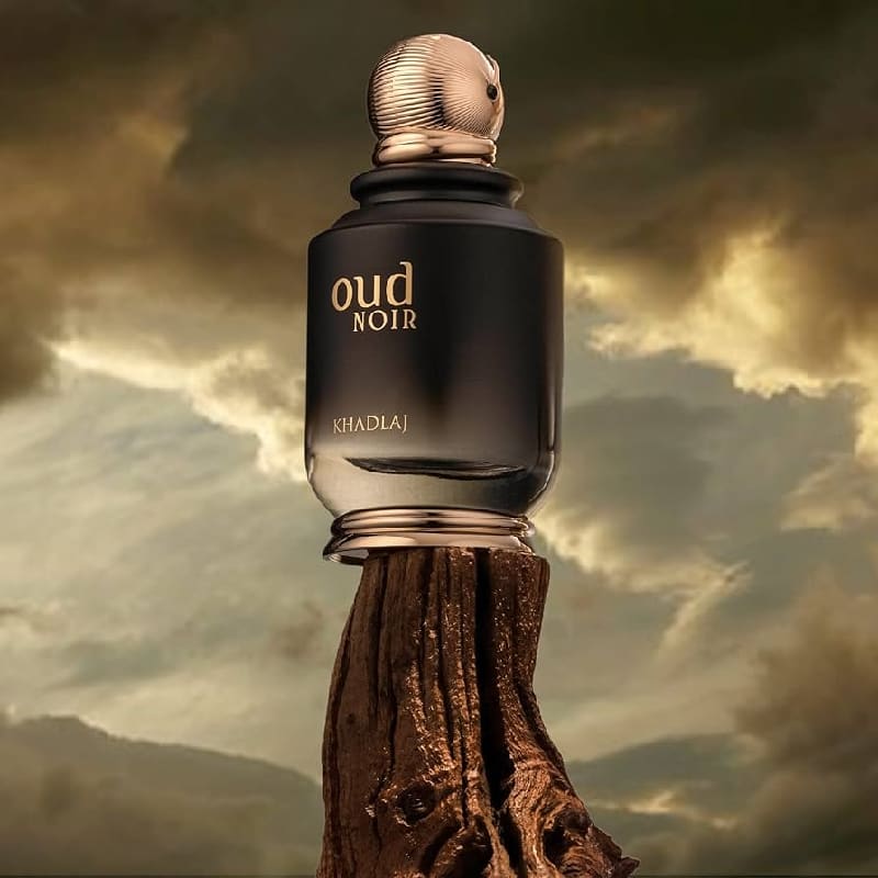 Khadlaj Oud Noir edp 100ml UNISEX - Khadlaj - Default Title - Perfumisimo